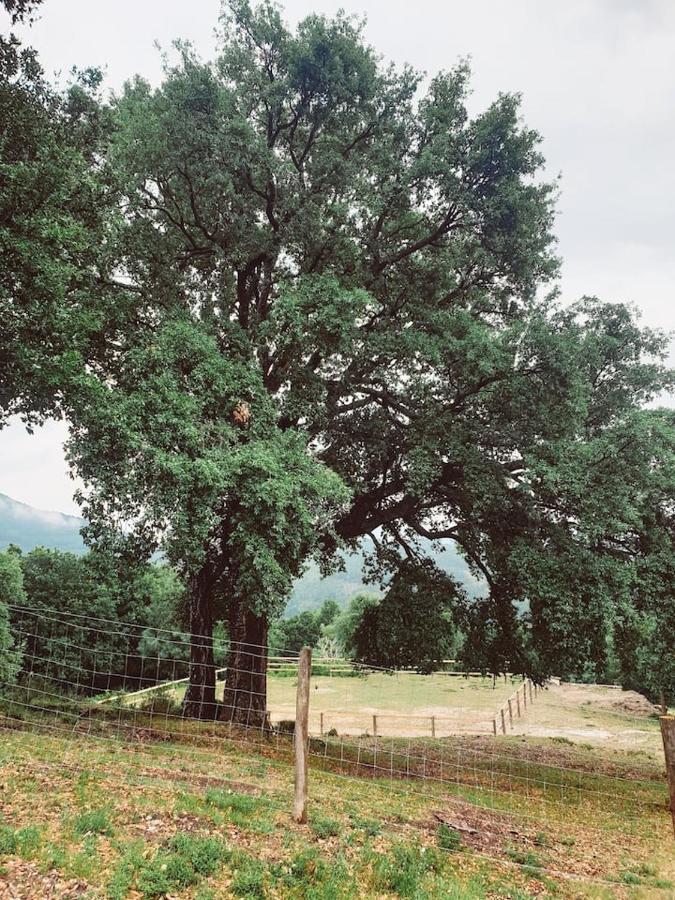 הוילה קאבקסיירס דה באסטו Refugio Do Sobreiro מראה חיצוני תמונה